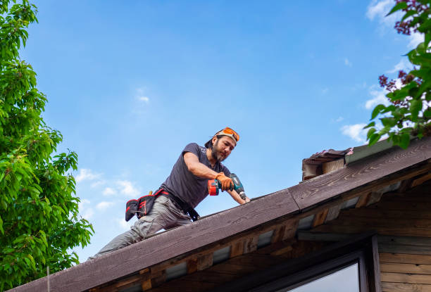 Best Sheet Metal Roofing  in Oregon, IL