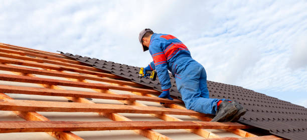 Best Metal Roofing Installation  in Oregon, IL